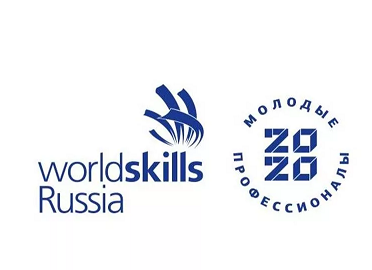 РЕЗУЛЬТАТЫ ФИНАЛА VIII  Национального чемпионата  “Молодые профессионалы” Worldskills Russia
