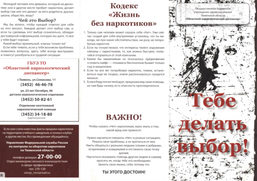 Тебе делать выбор.png